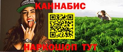 стаф Будённовск