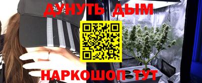 стаф Будённовск