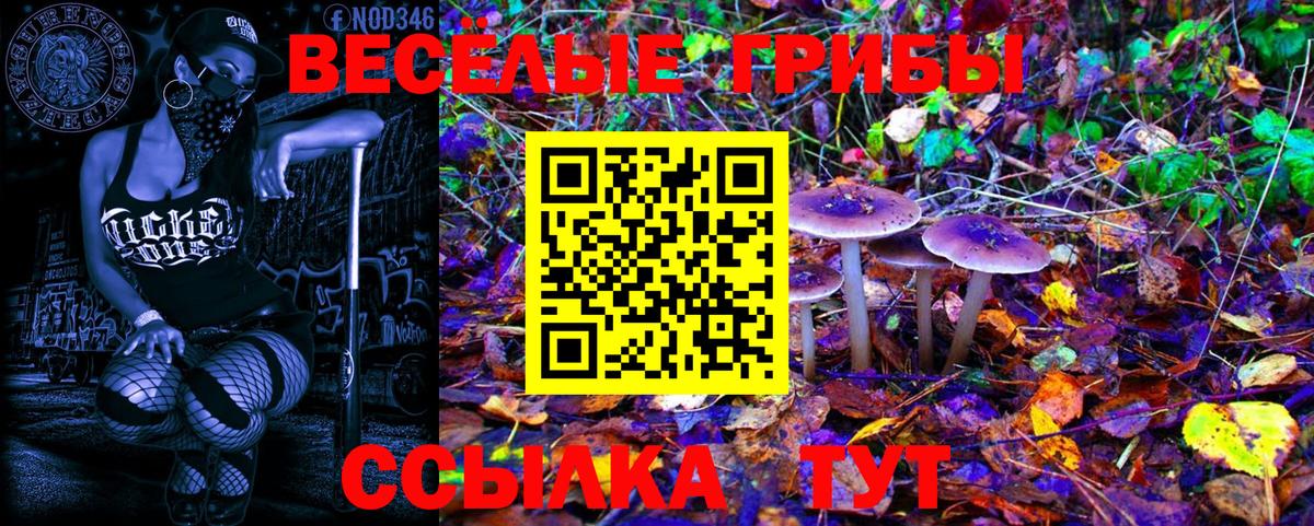 Галлюциногенные грибы GOLDEN TEACHER  Псилоцибиновые грибы Psilocybe  Вход с VPN  продажа наркотиков  Ликино-Дулёво 