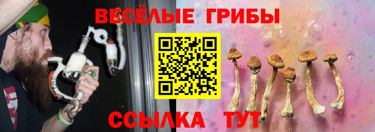 Псилоцибиновые грибы Psilocybe Ликино-Дулёво